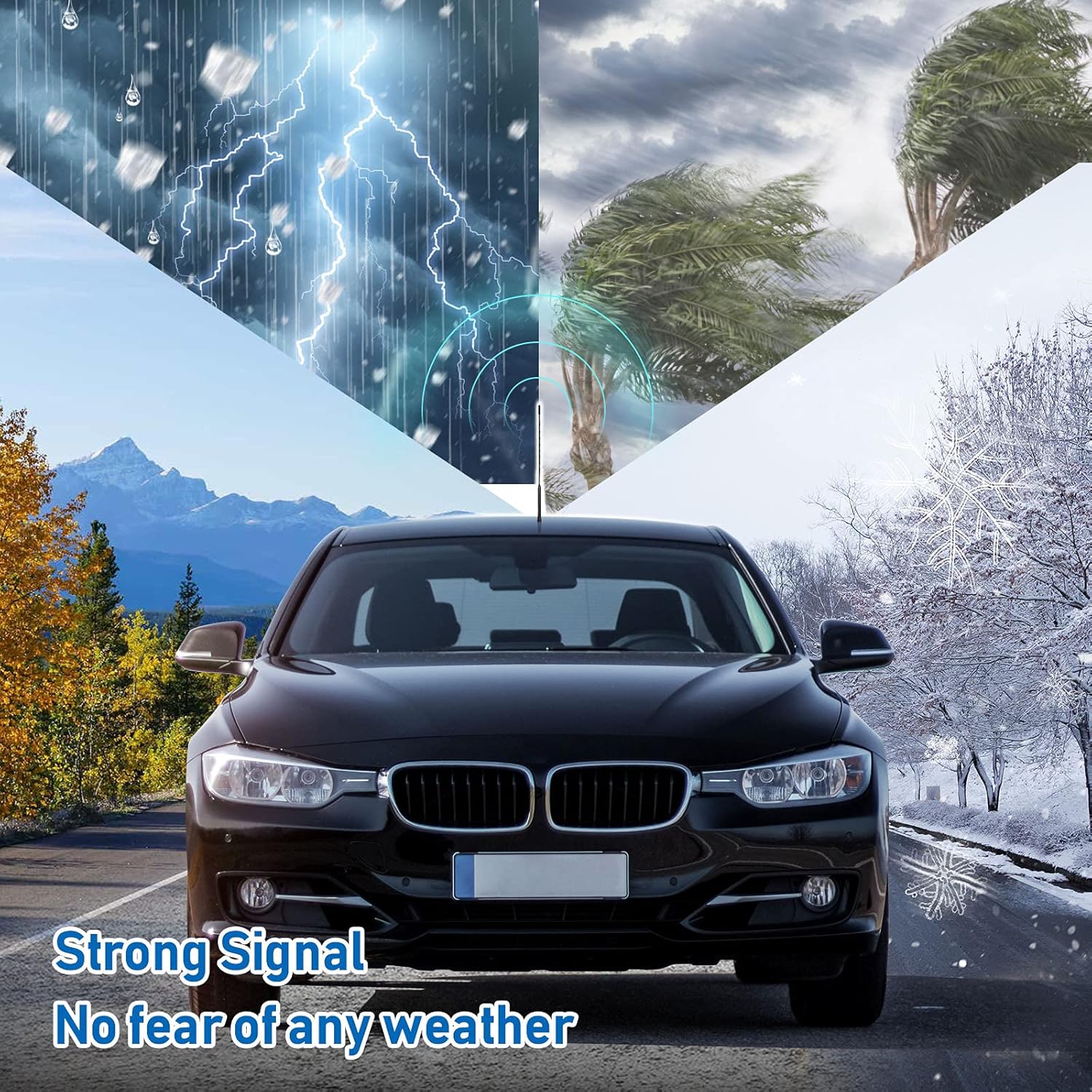 Eightwood Vehicle Antenna Replacement 16 inch, AM FM Universal Roof Mount Car Radio Antenna Mast, Flexible Rubber Antennae with M4 M5 M6 Threaded Adapter