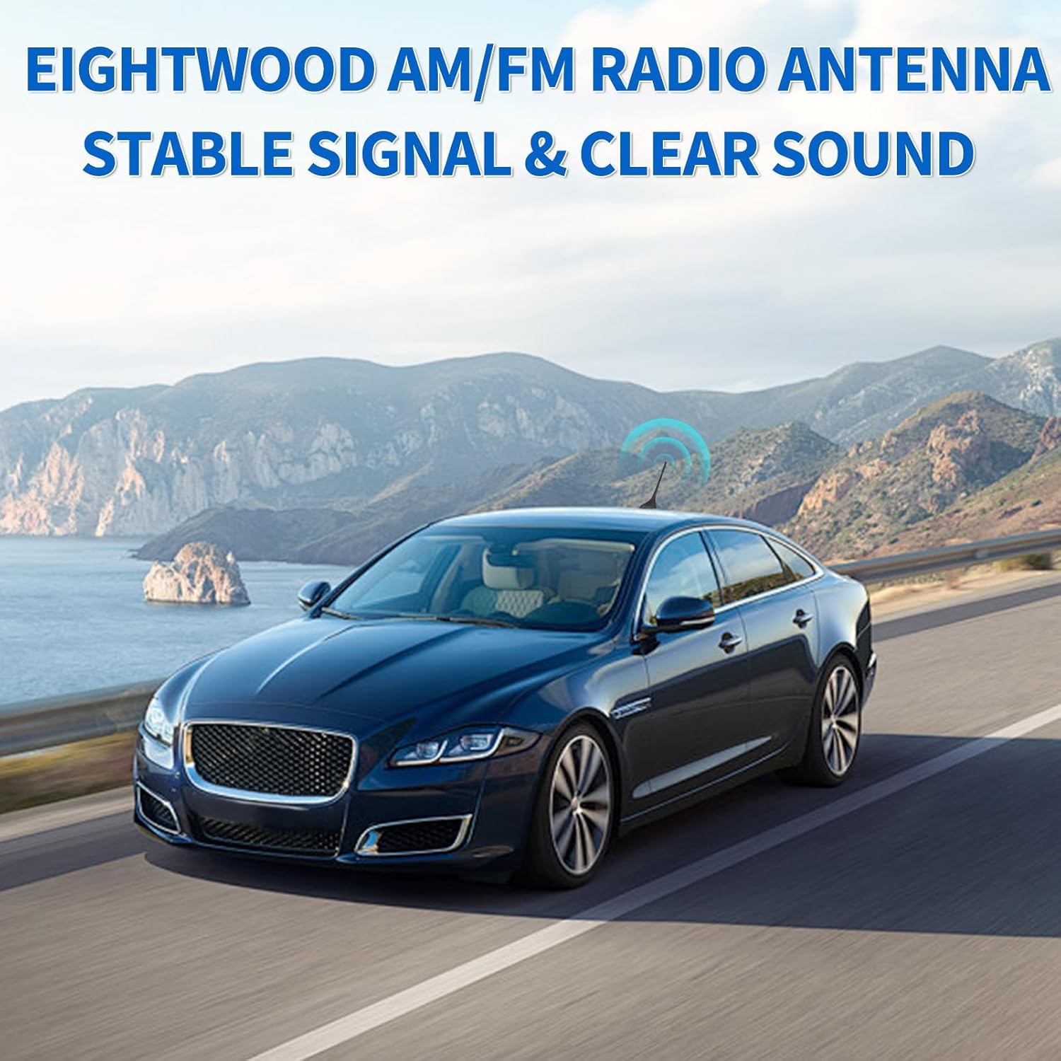 Eightwood Universal Car Radio Antenna Replacement, Roof Mount FM AM Stereo Antenna with DIN Male Connector for Vehicle Car Truck SUV Marine Radio Stereo Receiver Media Head Unit