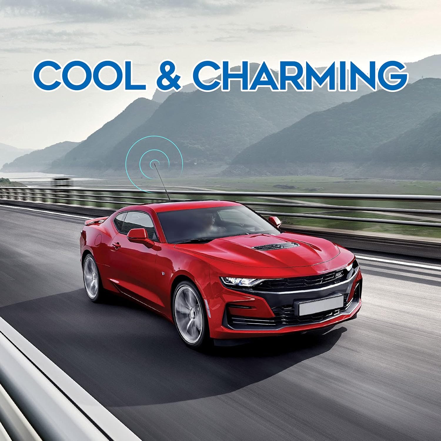 Eightwood Vehicle Antenna Replacement 16 inch, AM FM Universal Roof Mount Car Radio Antenna Mast, Flexible Rubber Antennae with M4 M5 M6 Threaded Adapter